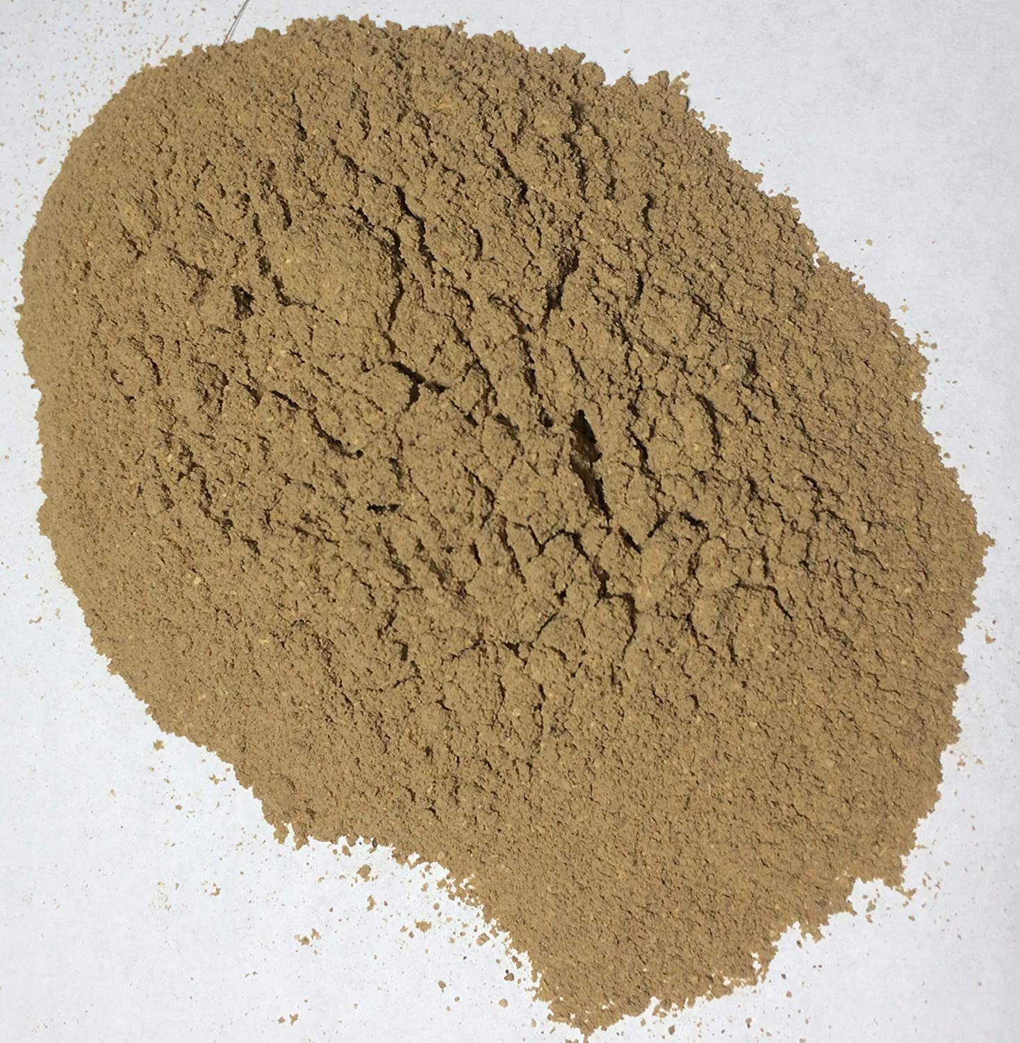 सर्पगंधा Rauwolfia Serpentina Benth. Ex. Kurz.